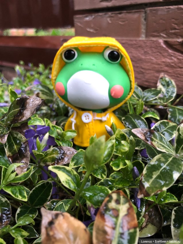 Дождливый день и новые постояльцы (фото 7)