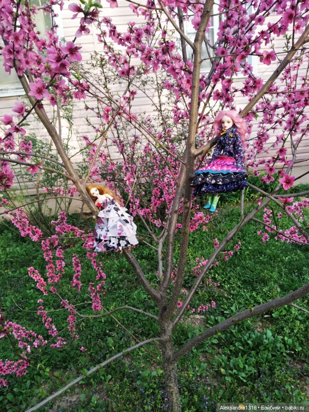 Весенние феи... или дикий персик