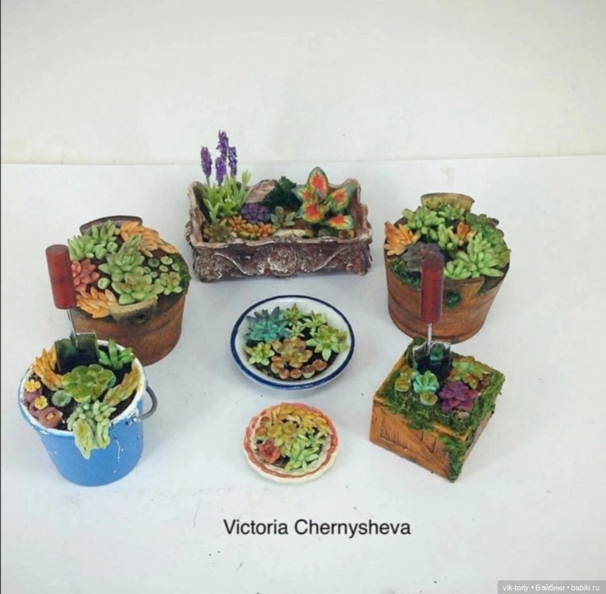 Любителям миниатюры и... суккулентам... Посвящается (фото 8)