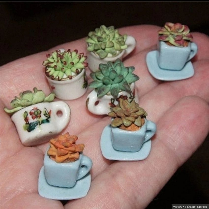 Любителям миниатюры и... суккулентам... Посвящается