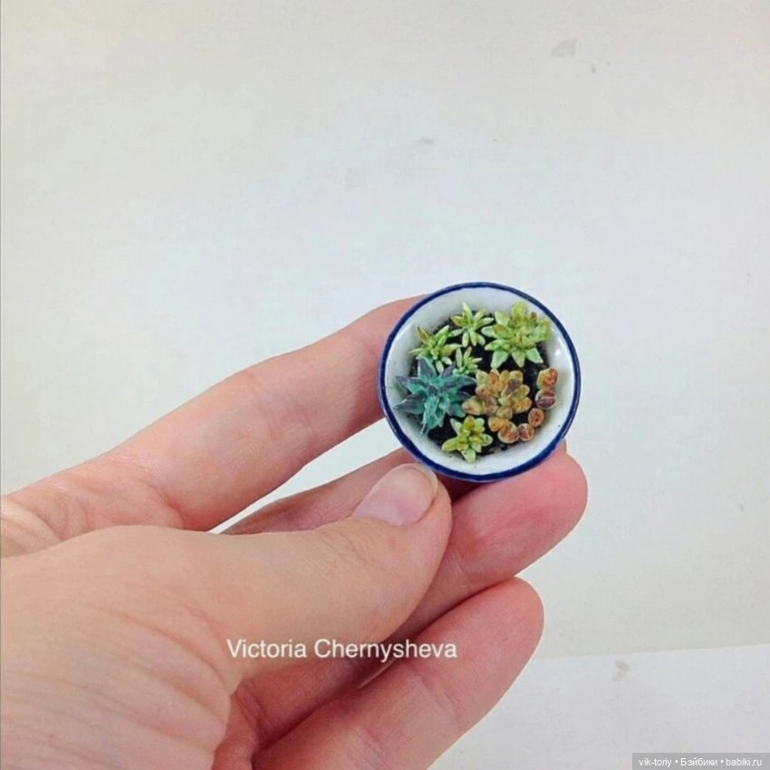 Любителям миниатюры и... суккулентам... Посвящается (фото 4)