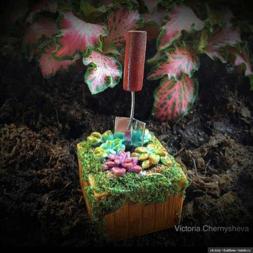Любителям миниатюры и... суккулентам... Посвящается (фото 6)