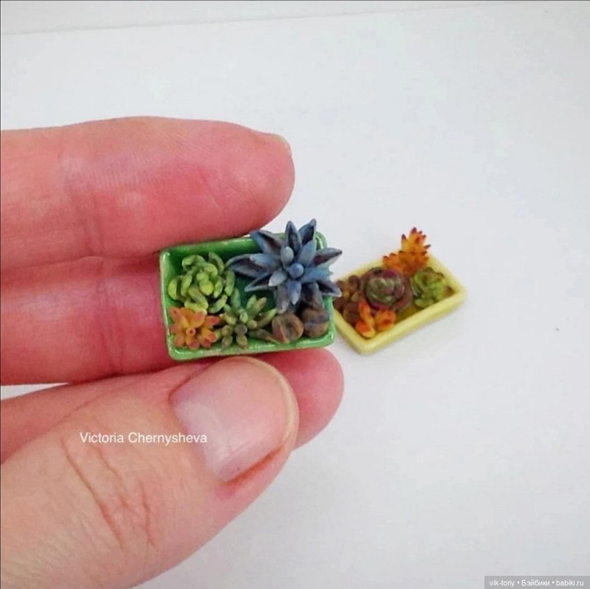 Любителям миниатюры и... суккулентам... Посвящается (фото 2)