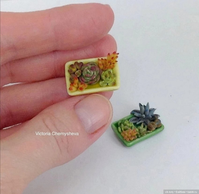 Любителям миниатюры и... суккулентам... Посвящается (фото 3)