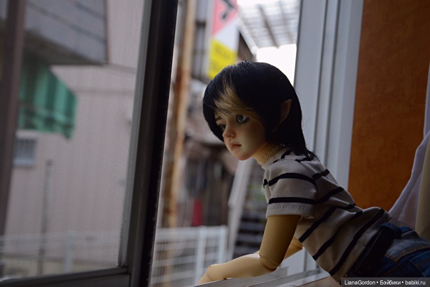 Акира кажется соскучился по вниманию к свой персоне. с: (фото 3)