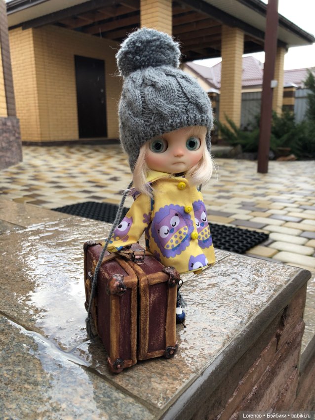 Дождливый день и новые постояльцы