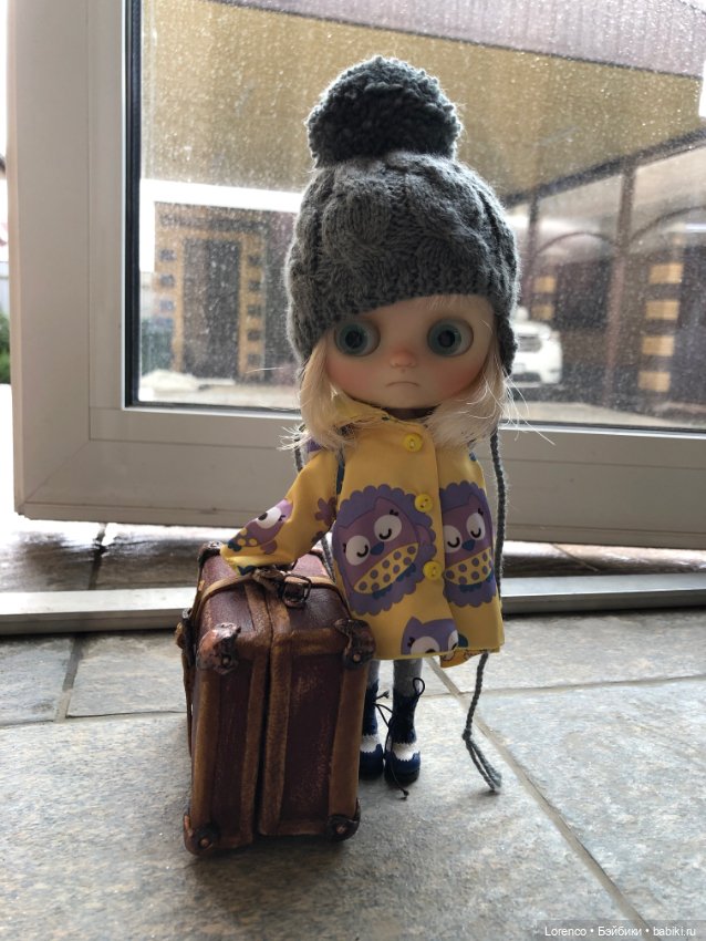 Дождливый день и новые постояльцы (фото 10)