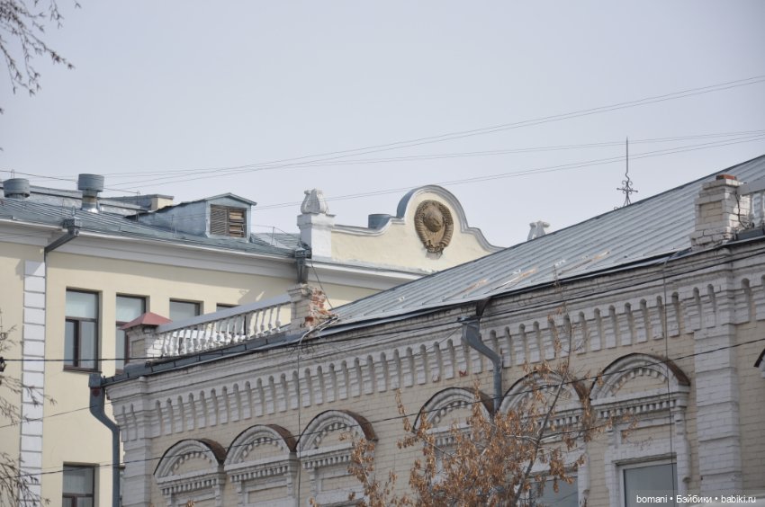 Пойдем со мной! Мне это нужно увидеть