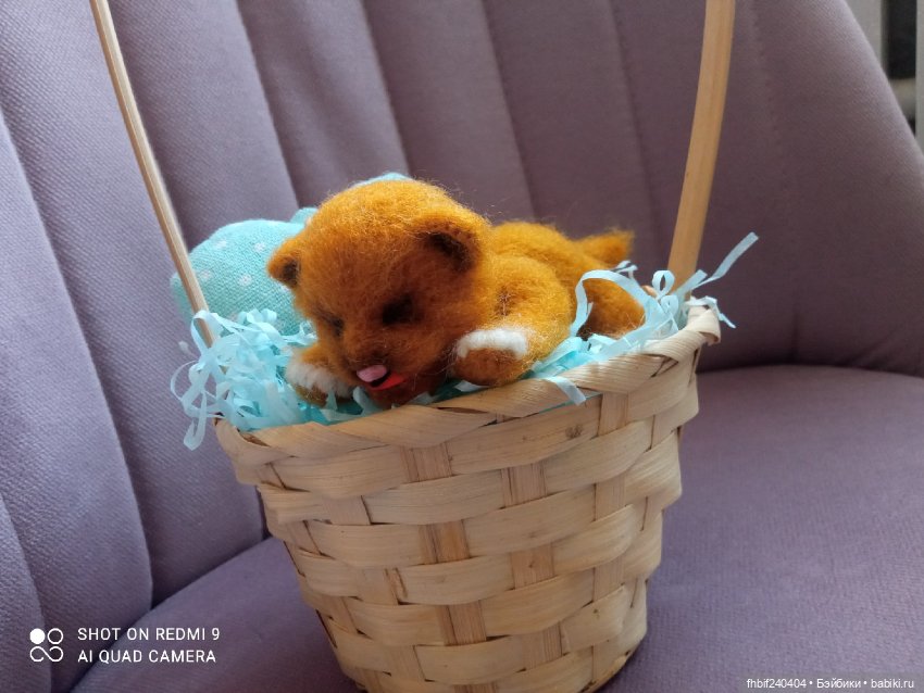 Авторские новорождённые котята (фото 6)