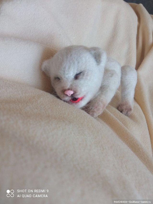 Авторские новорождённые котята