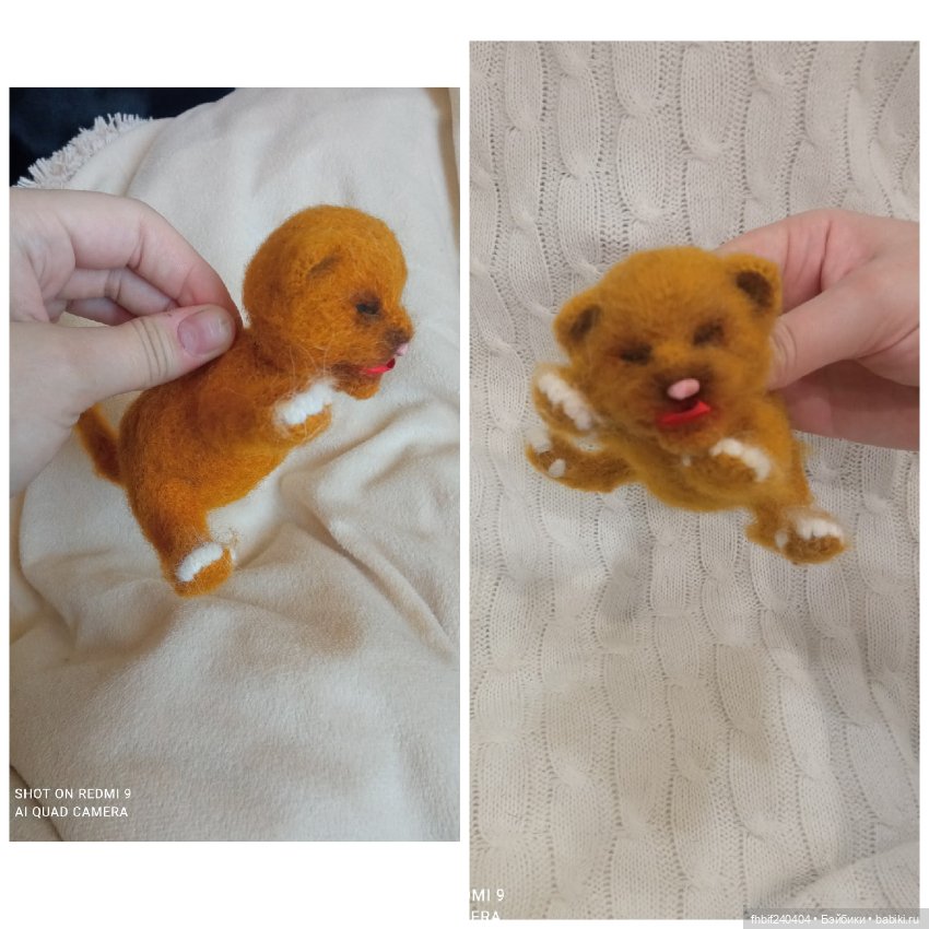 Авторские новорождённые котята (фото 5)