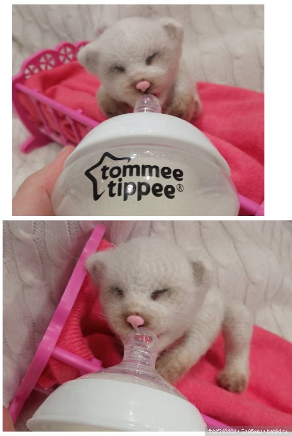 Авторские новорождённые котята