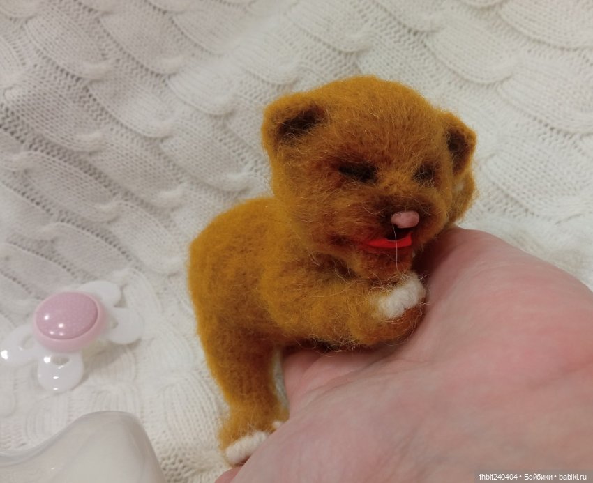 Авторские новорождённые котята (фото 7)