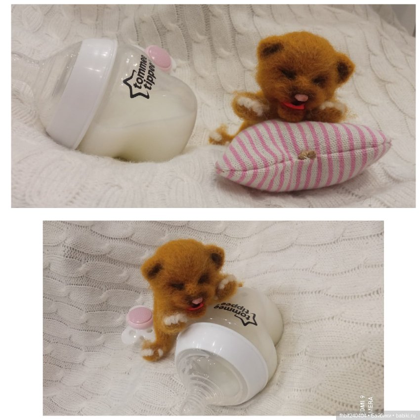 Авторские новорождённые котята (фото 4)