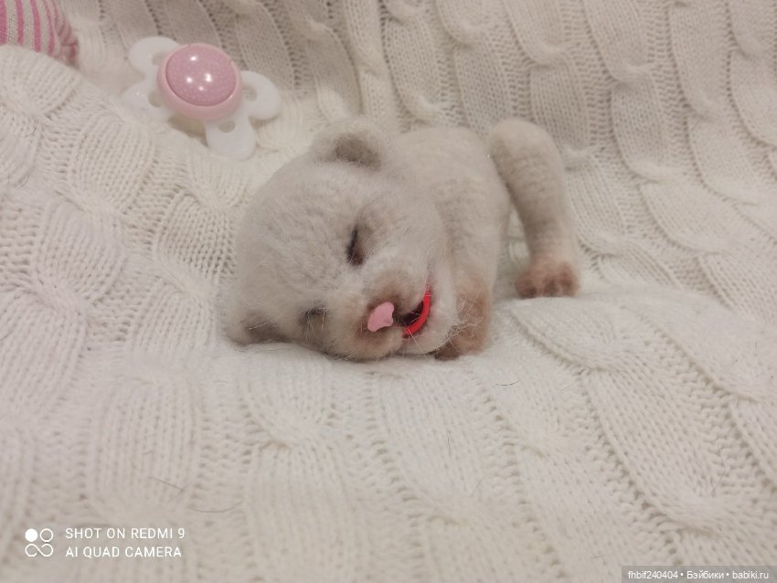 Авторские новорождённые котята