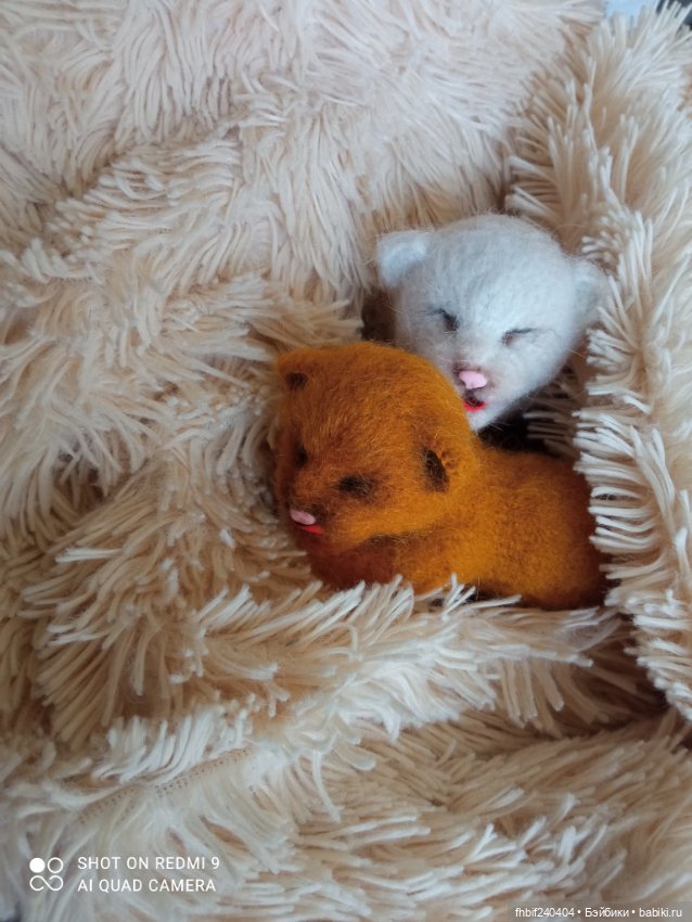 Авторские новорождённые котята