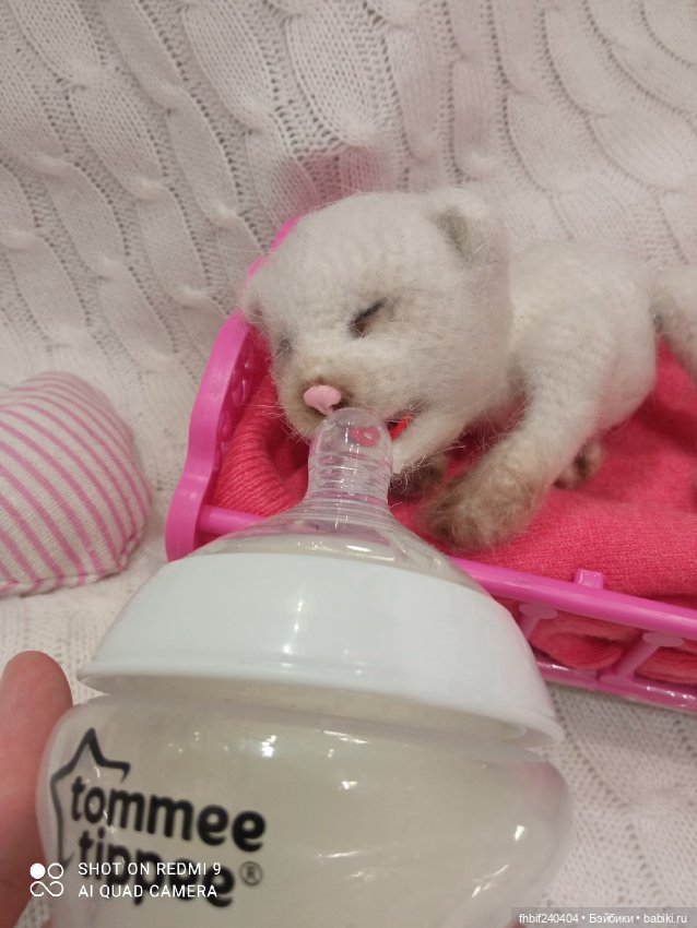 Авторские новорождённые котята