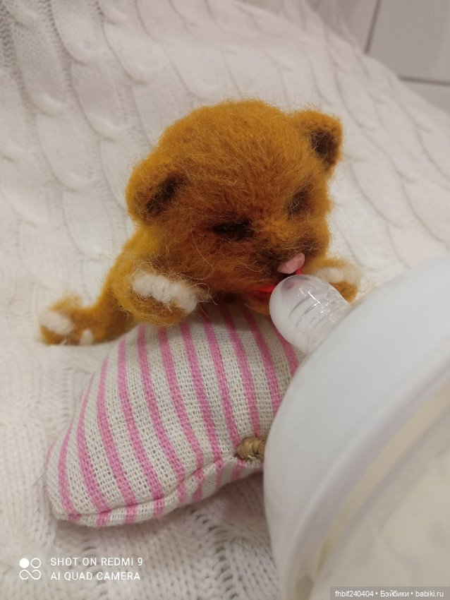 Авторские новорождённые котята (фото 9)