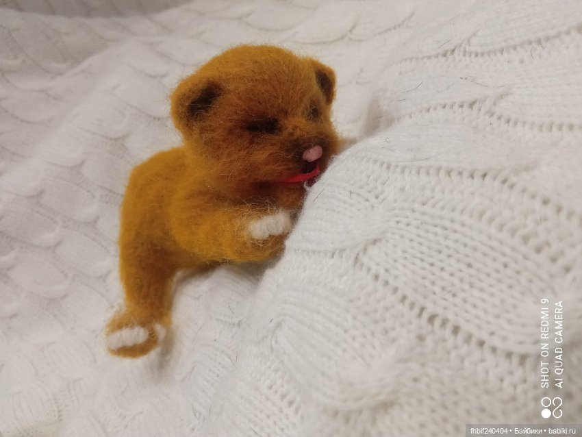 Авторские новорождённые котята (фото 8)