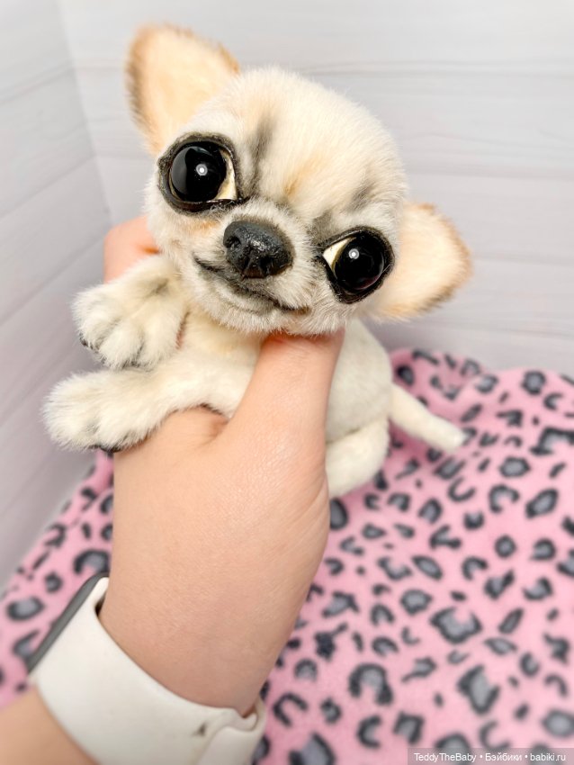 Чарли, 🐶🐾подвижный тедди чихуахуа