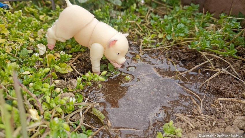 Поросенок и лужа. Realpuki. 154 (фото 4)