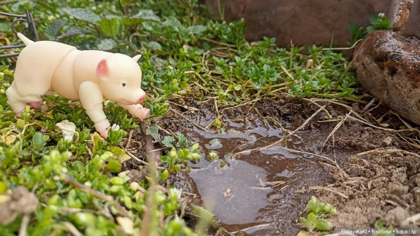 Поросенок и лужа. Realpuki. 154 (фото 2)