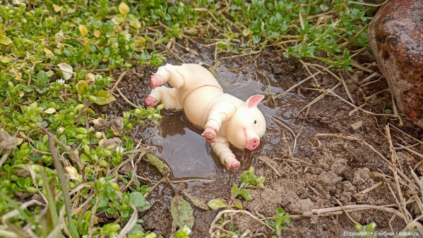 Поросенок и лужа. Realpuki. 154 (фото 5)