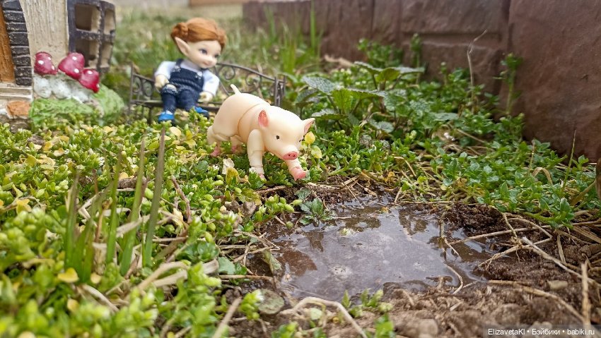 Поросенок и лужа. Realpuki. 154 (фото 3)