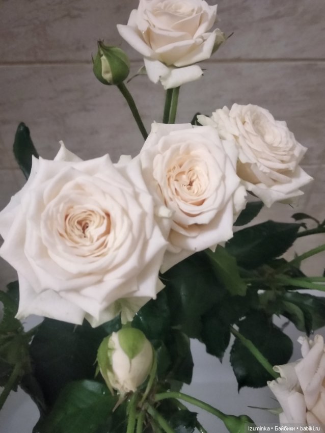 Ах, ...Алиса — ООАК Paola Reina (Паола Рейна) и испанских кукол: перерисовка