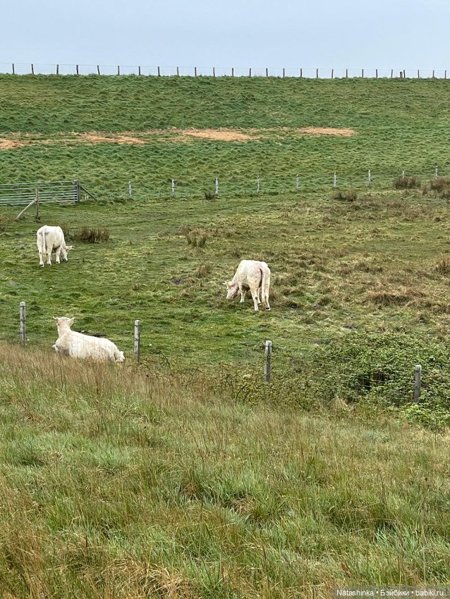 Fashion Dolls 344 — Туризм и путешествия: фотоотчеты из поездок (фото 3)