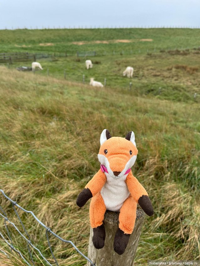 Fashion Dolls 344 — Туризм и путешествия: фотоотчеты из поездок (фото 4)