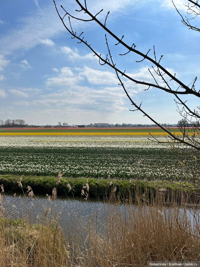 Fashion Dolls 344 — Туризм и путешествия: фотоотчеты из поездок (фото 10)