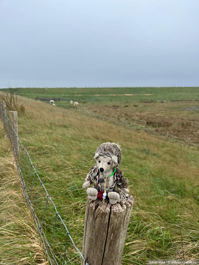 Fashion Dolls 344 — Туризм и путешествия: фотоотчеты из поездок (фото 5)