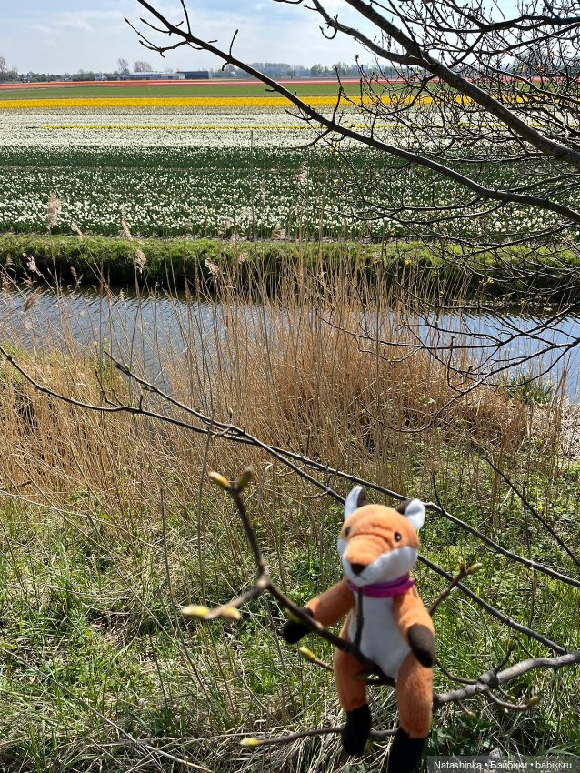 Fashion Dolls 344 — Туризм и путешествия: фотоотчеты из поездок