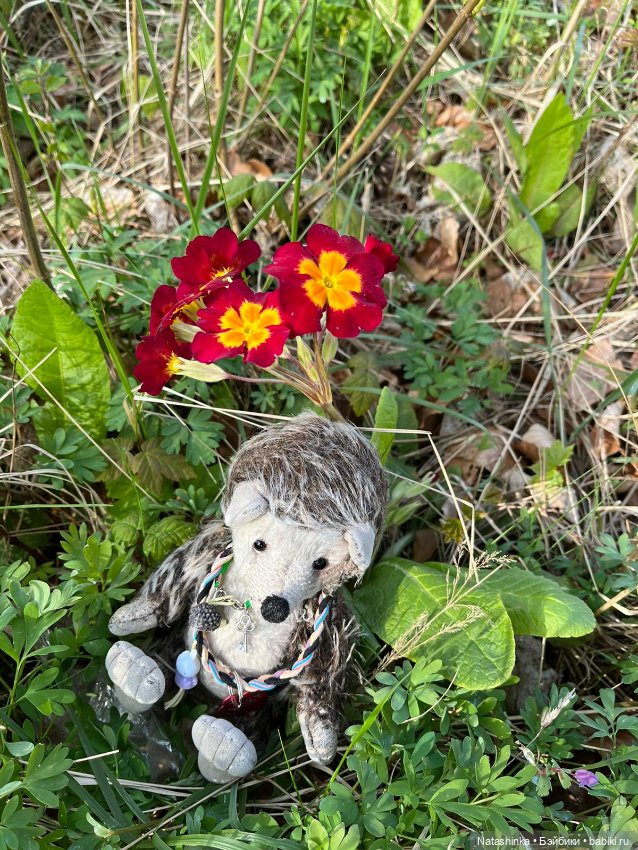 Fashion Dolls 344 — Туризм и путешествия: фотоотчеты из поездок