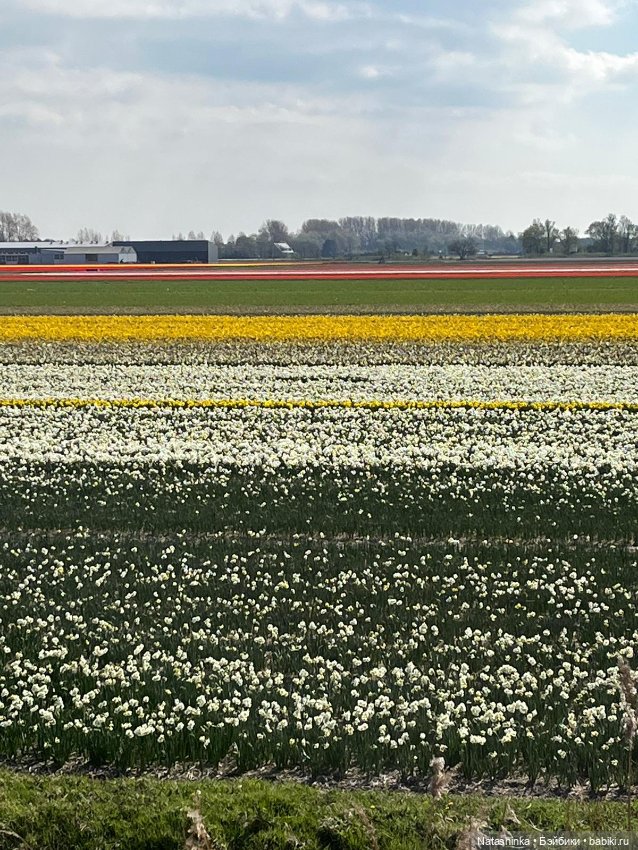 Fashion Dolls 344 — Туризм и путешествия: фотоотчеты из поездок (фото 9)