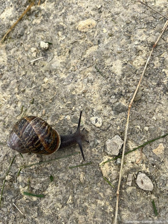 Fashion Dolls 344 — Туризм и путешествия: фотоотчеты из поездок (фото 7)