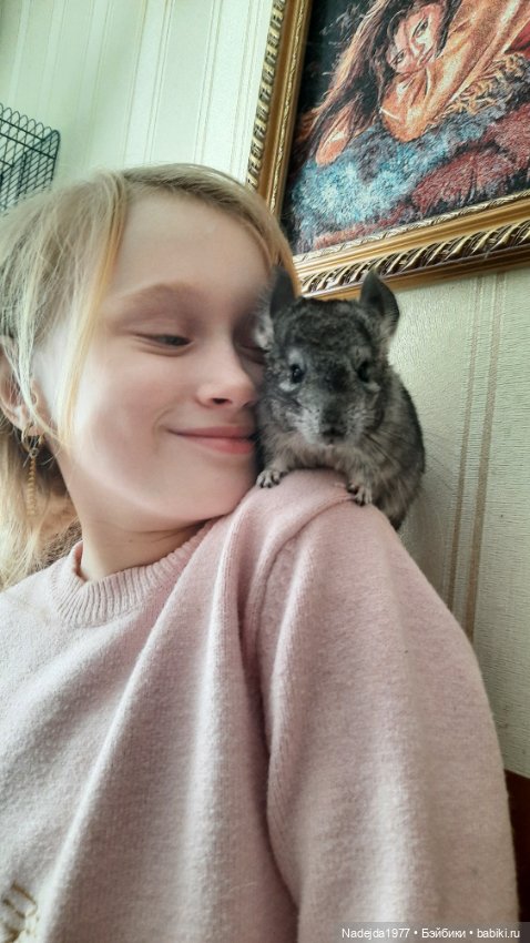 Моя новая работа. Котик по описанию Сары Элизабет Келлнер