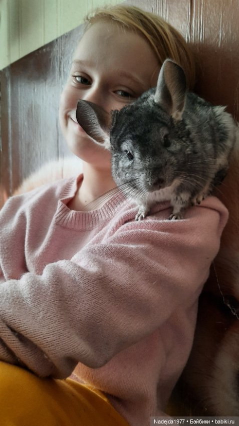 Моя новая работа. Котик по описанию Сары Элизабет Келлнер