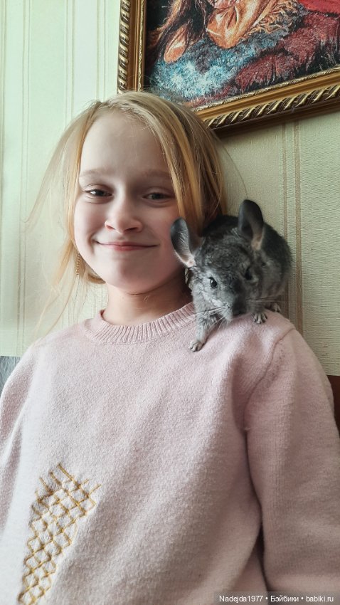 Моя новая работа. Котик по описанию Сары Элизабет Келлнер