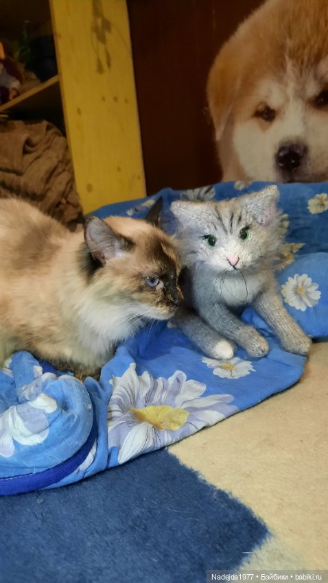 Моя новая работа. Котик по описанию Сары Элизабет Келлнер (фото 3)