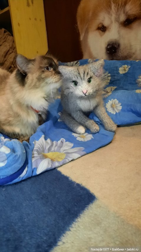 Моя новая работа. Котик по описанию Сары Элизабет Келлнер (фото 2)