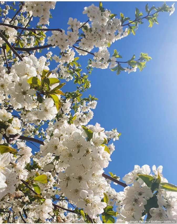 Авторские мишки Тедди и друзья: фото (фото 9)