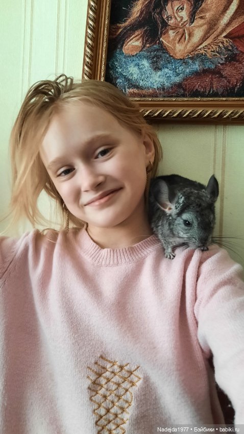 Моя новая работа. Котик по описанию Сары Элизабет Келлнер