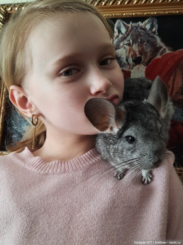 Моя новая работа. Котик по описанию Сары Элизабет Келлнер