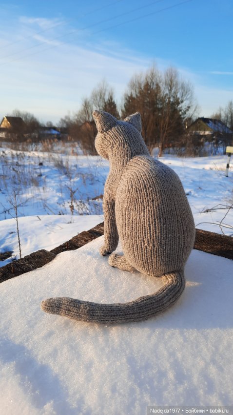 Новый котик британец по описанию Сары Элизабет Келлнер