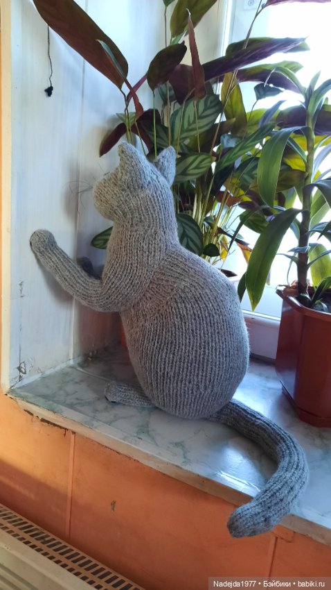 Новый котик британец по описанию Сары Элизабет Келлнер