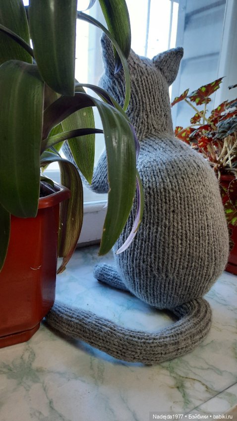 Новый котик британец по описанию Сары Элизабет Келлнер