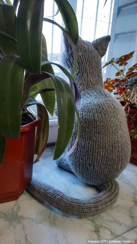 Новый котик британец по описанию Сары Элизабет Келлнер