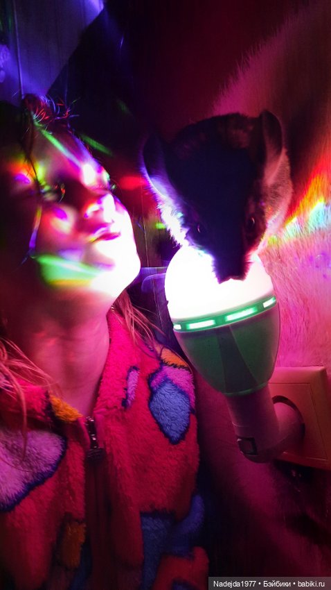 Связанные лисята — Вязаные игрушки и амигуруми: крючком